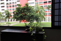 Blk 604 Bedok Reservoir Road (Bedok), HDB 5 Rooms #160738222